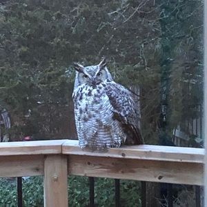 Meet your Posher, Marilyn